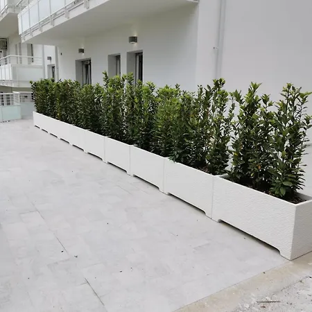 Mare E Trabocchi Apartman *